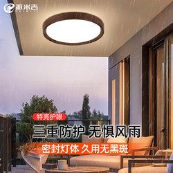 Outdoor Balcony Ceiling Light, Outdoor Eaves Corridor, Entrance Hall, Villa Entrance, Moisture-Proof and Insect-Proof Lighting Fixtures