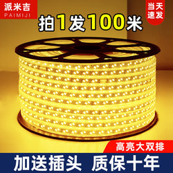 Led Light Strip Outdoor Waterproof 220V for Living Room Exterior Wall Special Engineering Outdoor Warm Light White Warm Color High Voltage Light Strip