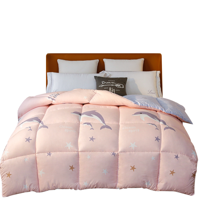 Winter Is Thickened To Keep Warm Student Fashion Dormitory Quilt Core Quilt Pad Is Winter