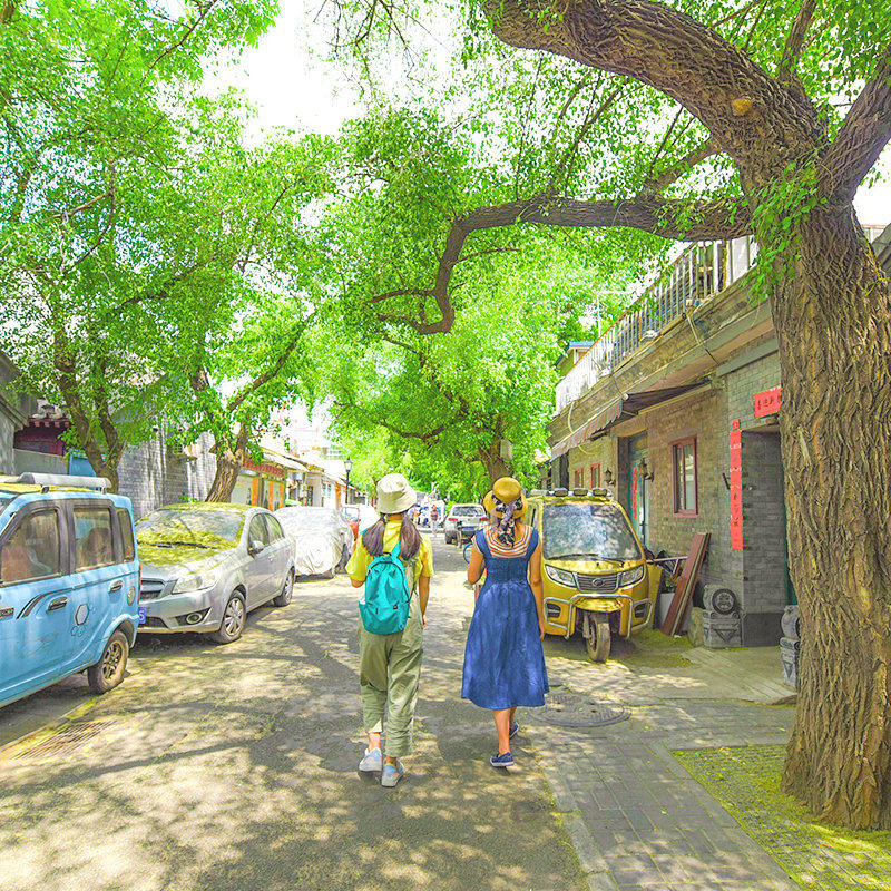 北京什刹海深度体验半日游恭王府讲解人力三轮车逛胡同