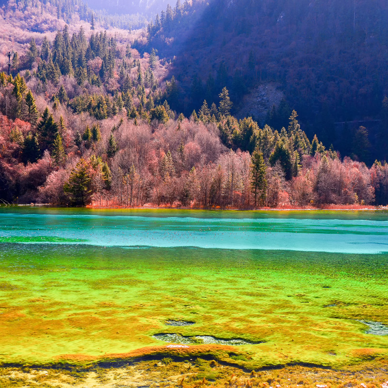 7天6晚峨眉山+乐山大佛+九寨沟跟团游四川成都都江堰熊猫乐园黄龙