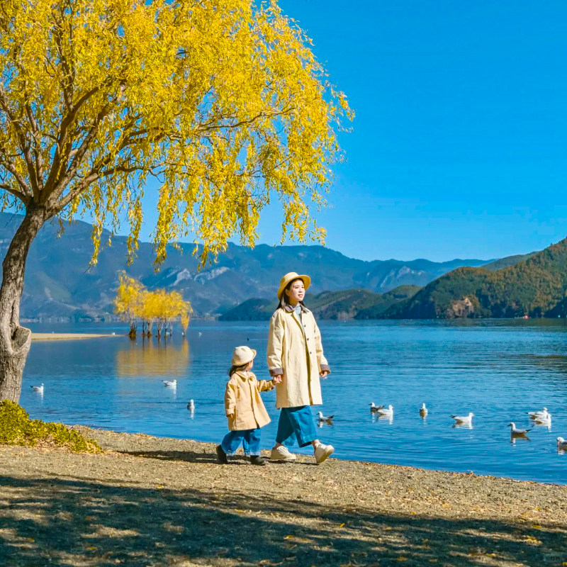 【单人可拼房】梦想ing丽江大理香格里拉泸沽湖8天7晚云南旅游