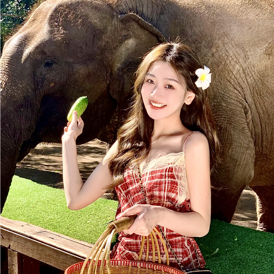 【2-12人团纯玩】云南旅游昆明大理丽江版纳8天7晚跟团游含机票