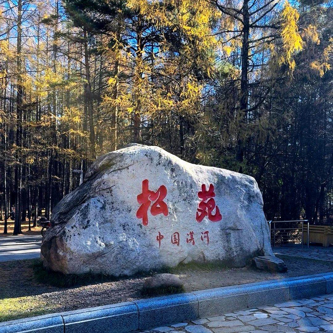 【2-8人小团】北极追光治愈旅行5天哈尔滨漠河北极村看极光含机票