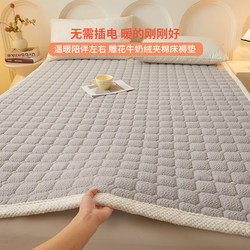 Roland Home Textiles Milk Velvet Mattress Autumn and Winter Thickened Soft Cushion Household Coral Flannel Tatami Mattress Pad Quilt