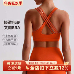 Sexy Cross-Back Yoga Bra, Nude-Feel Sports Bra, High-Intensity Shock-Proof Running Fitness Vest Top for Women
