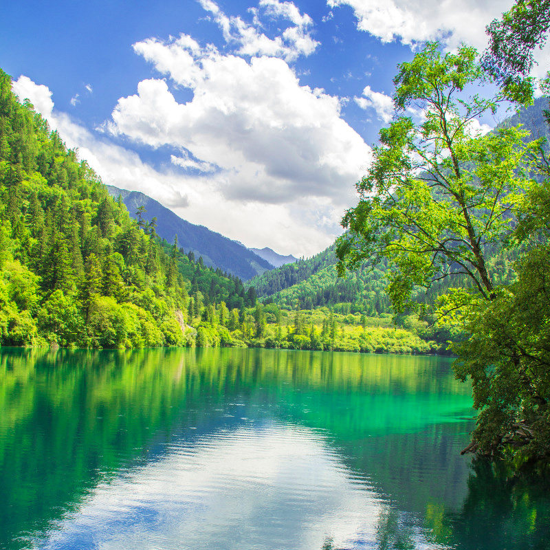 高铁纯玩四川旅游7天6晚成都九寨沟黄龙都江堰峨眉乐山跟团旅游日