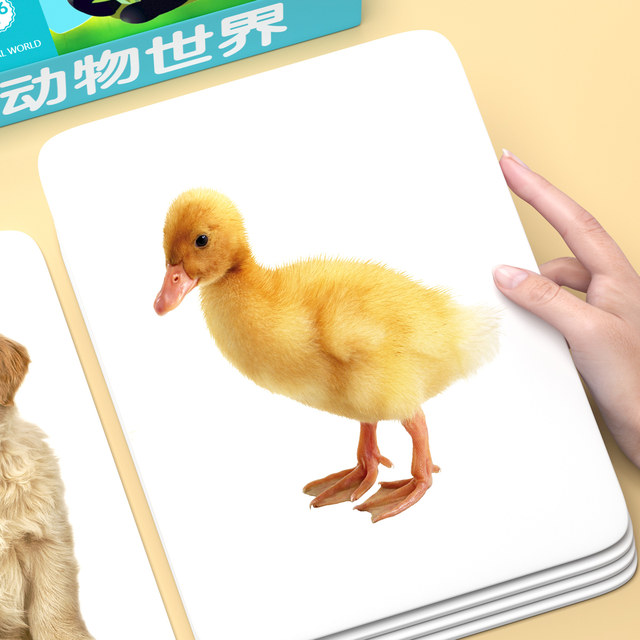 Animal cognition cards, baby early education, infants and young children reading pictures and recognizing objects, enlightenment book, one-year-old children's literacy flash cards, complete set