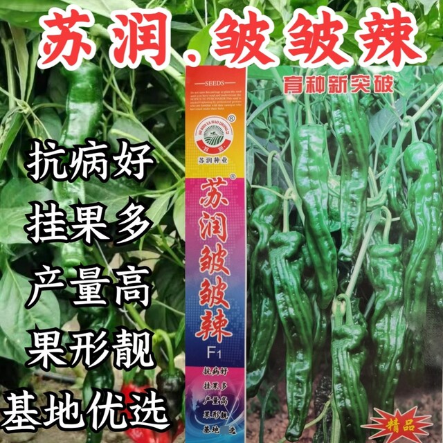 Surun wrinkled spicy pepper seeds large fruit wrinkled horn pepper pickled pepper black pit spicy thin skin pepper seeds