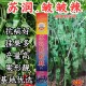 Surun wrinkled spicy pepper seeds large fruit wrinkled horn pepper pickled pepper black pit spicy thin skin pepper seeds