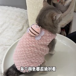 Anti-shedding clothes for pet cats, autumn and winter clothes, cute plus velvet, warm winter clothes, dogs, silver gradient ragdolls and cats
