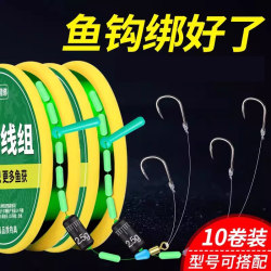 Pre-Tied Fishing Hooks, Double Hook Line, Finished Main Line Set, Fishing Line Kit 4.5, Complete Fishing Gear Set