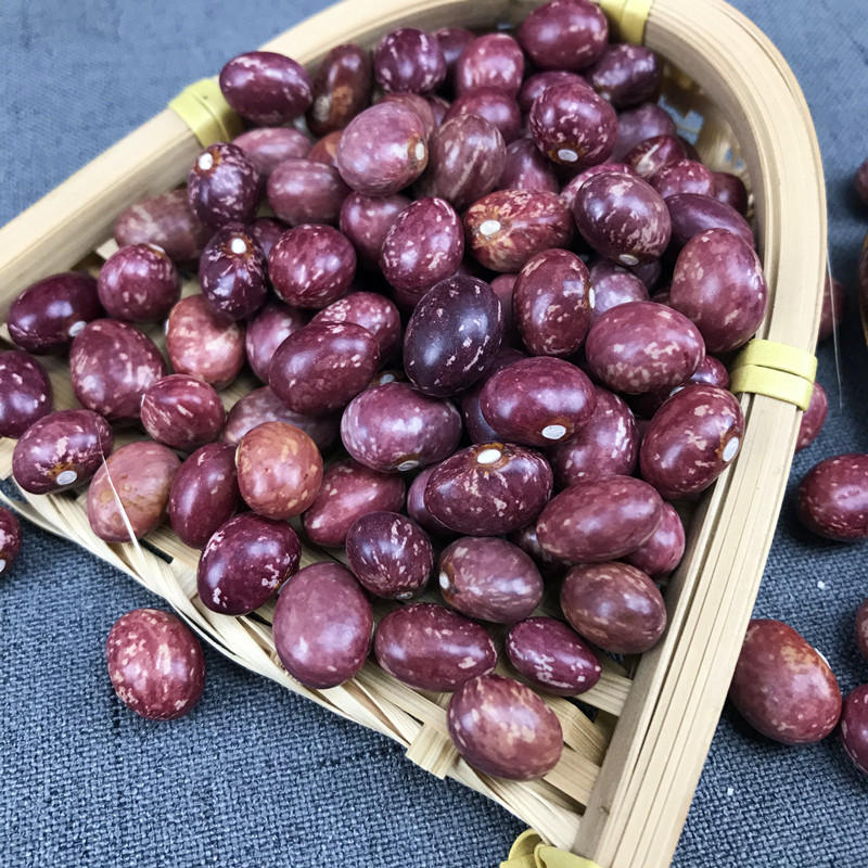 云南金丝豆500g 雀蛋豆饭豆农家自产红花芸豆五谷杂粮豆类特产