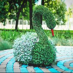 Large animal and plant craft sculptures artificial outdoor park square grass sculpture landscape simulation green sculpture shape combination