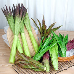 Simulated Vegetable Model, Fake Vegetable Toy, Green Vegetables, Lettuce, Oil Lettuce, Film Shooting Props, Home Decoration Ornaments