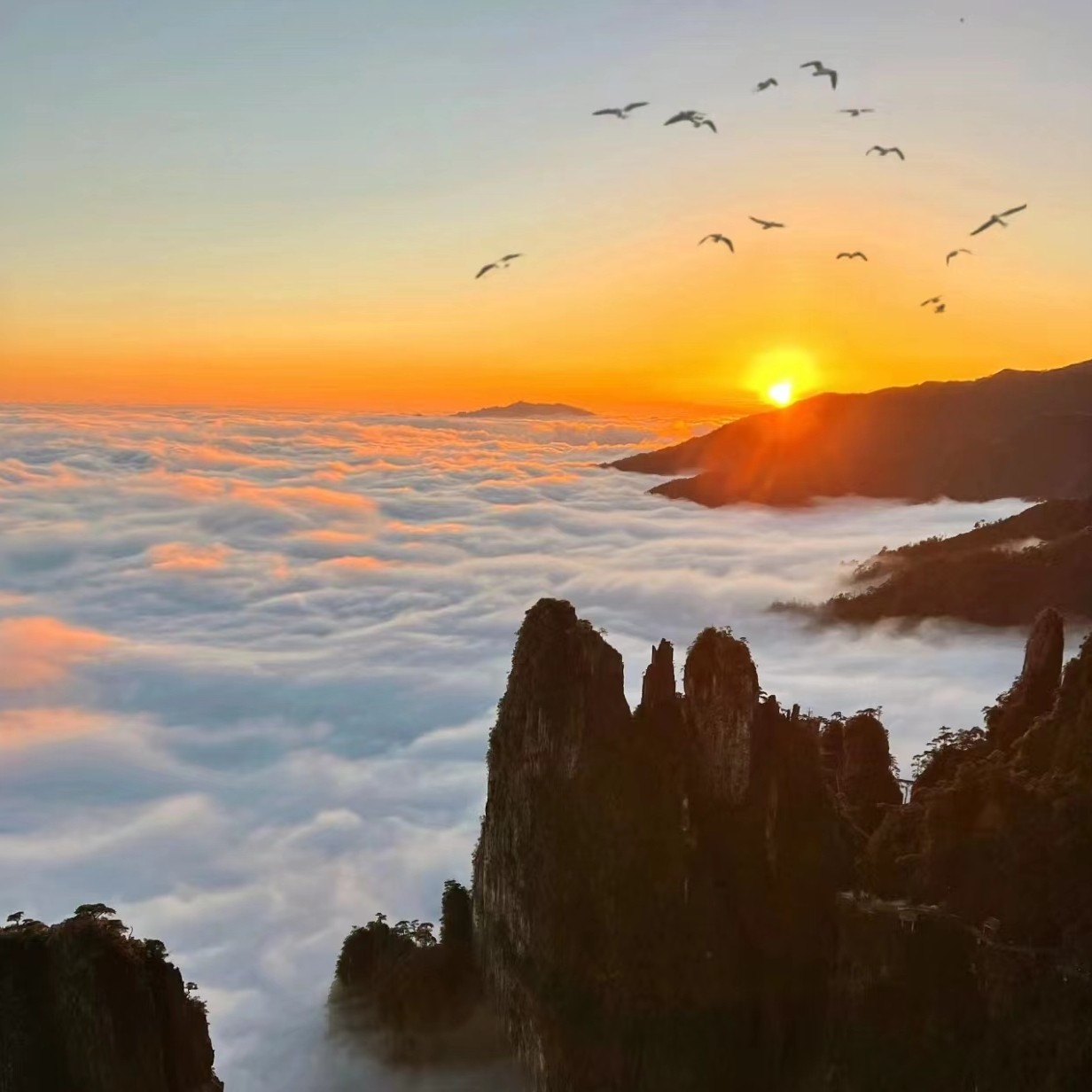 冬日爆款【冰雪云冰山+莽山五指峰2天】雾淞冰挂+悬空栈道-纯玩