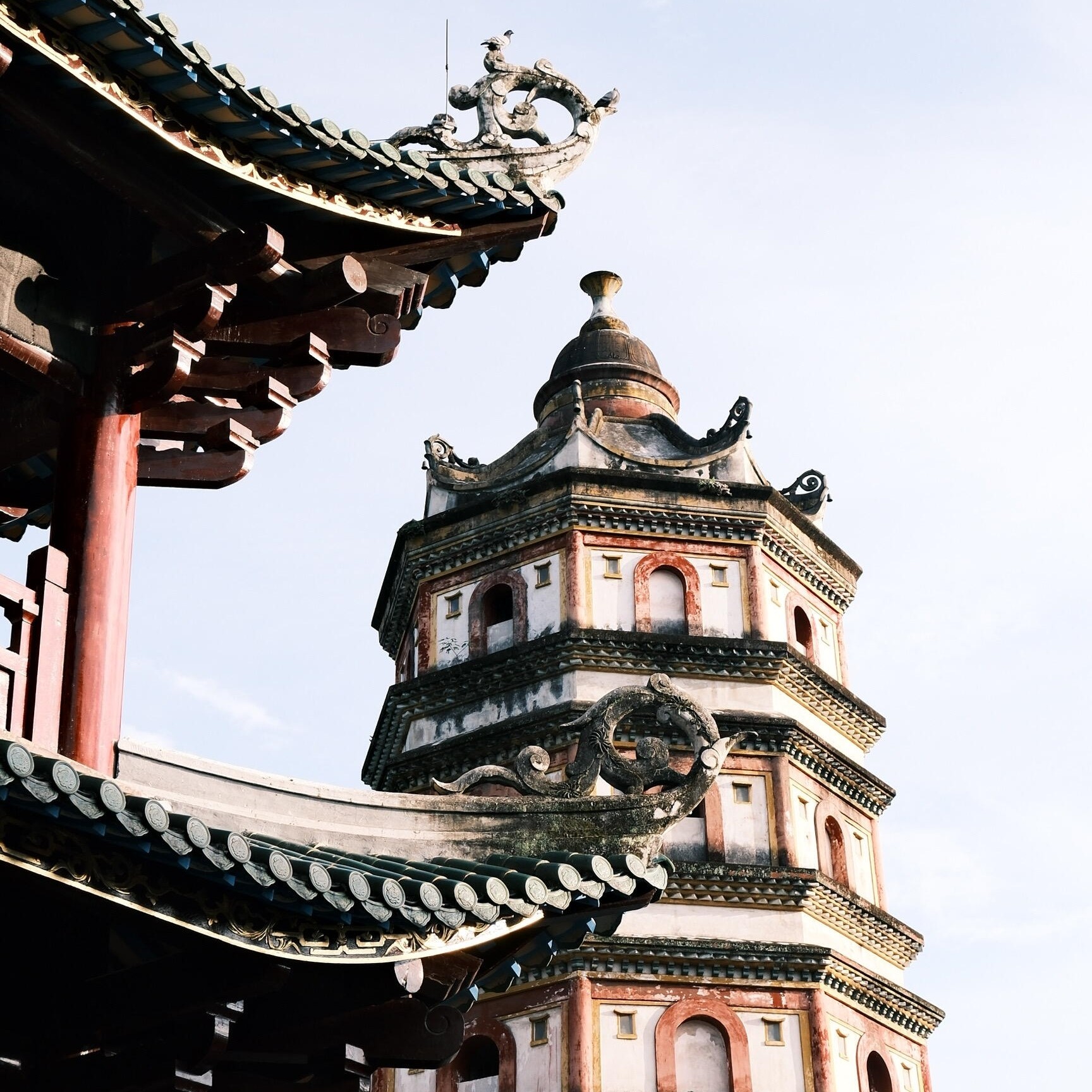 【南雄银杏之乡】畅泡露天温泉+南华寺祈福+时光隧道 2天游