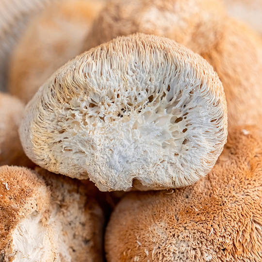 Fergining yalangoch mushuki