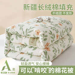 Xinjiang Cotton Quilt Core with Duvet Cover, Spring and Autumn Quilt, Winter Thickened Warm Quilt, Student Dormitory Single Bed Bedding