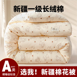 Xinjiang Cotton Quilt Core with Duvet Cover, Spring and Autumn Quilt, Winter Thickened Warm Quilt, Student Dormitory Single Bed Bedding