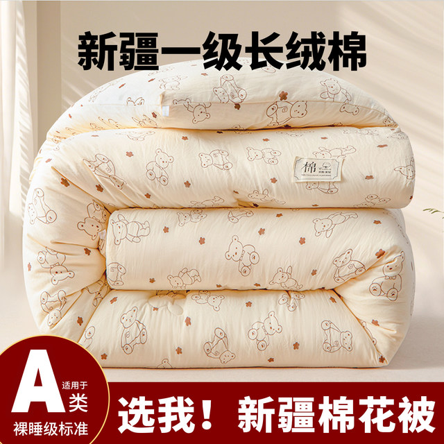 Xinjiang cotton quilt core with quilt cover spring and autumn quilt winter thickened warm quilt student dormitory single quilt