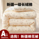 Xinjiang cotton quilt core with quilt cover spring and autumn quilt winter thickened warm quilt student dormitory single quilt