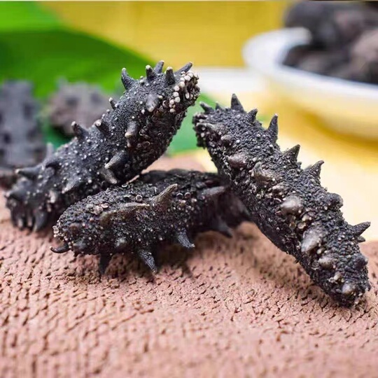 大連深海野生高麗人参 軽乾燥海参 - 遼瀋人参グレード