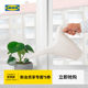 IKEA PS2002 sprinkler pot household green plant pot spray kettle flower pot garden succulent pot