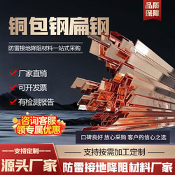 Supply copper-clad steel flat steel, copper-plated flat steel, lightning protection and grounding copper-clad steel flat steel, lightning protection copper-clad steel and grounding flat steel