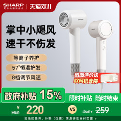Sharp Hair Dryer Household Hair Dryer Powerful Hair Dryer High Wind High Speed Negative Ion High Power