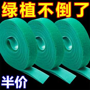 Plant strap bundling tie hot-planting fixing