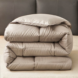 Five-Star Hotel Quilt Core, Hotel Full-Size Feather Velvet Quilt, Single and Double Dormitory Quilt Core, Four-Season Bedding, Winter Quilt