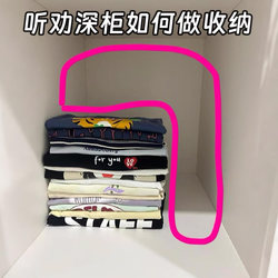 Expandable Clothes Storage Box for Wardrobe, Organizer for Underwear, Socks, Layered Storage, Pants Basket, Drawer-Style Organizer Box