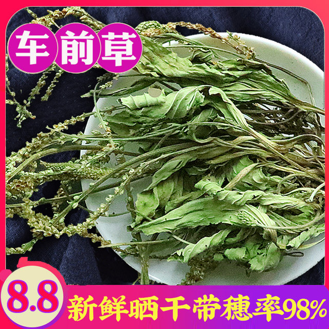 Plantain 500g g dry goods fresh tea bag with cat's claw cat's claw ...