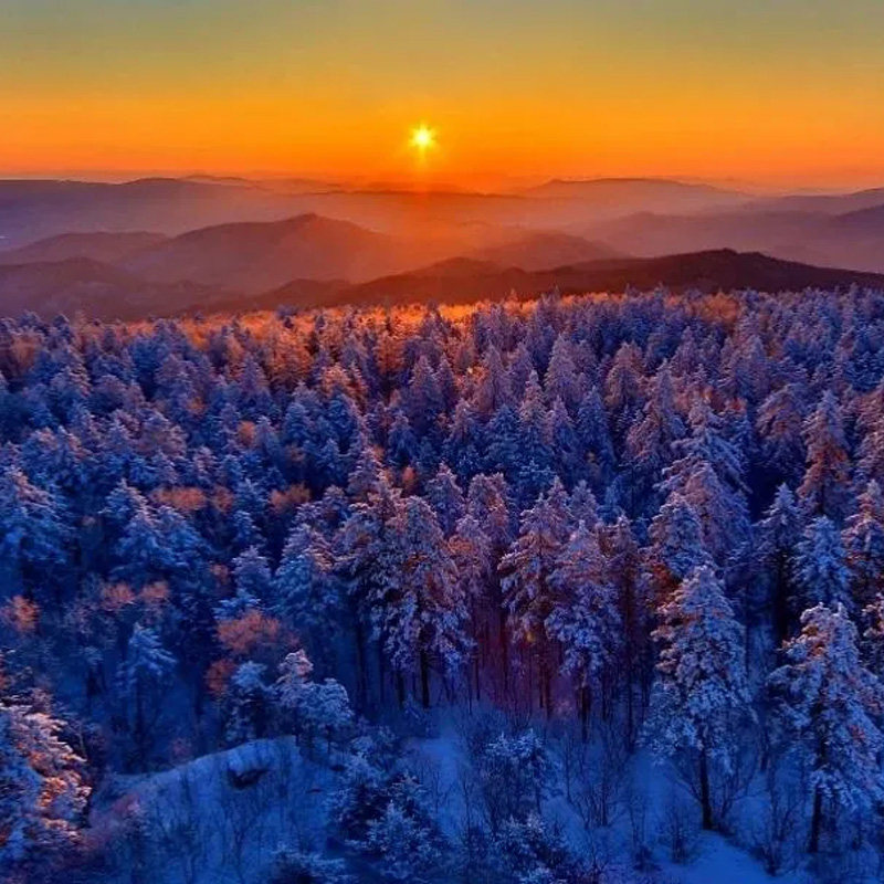 【课本里的小兴安岭】东北伊春冰雪6天5晚亲子游