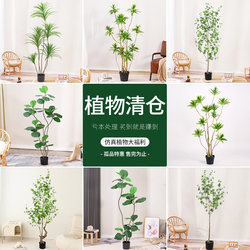 Clearance Sale of Artificial Green Plants for Indoor Living Room, High-End Light Luxury Decoration, Simulated Plants, Large Potted Floor-Standing Ornaments, Fake Trees