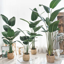 Artificial Plant Traveler's Banana Tree Bird of Paradise Potted Plant Large Nordic Living Room Decoration Indoor Decorative Tree Fake Green Plant