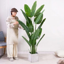 Nordic Large Artificial Green Plant Fake Plant Potted Decoration Traveler's Banana Tree Floor-Standing Bird of Paradise Indoor Decorative Tree for Living Room