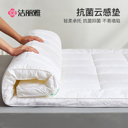 Jialiya Mattress Soft Cushion Home Mattress Single Tatami Hotel Mattress Pad Bedding Winter