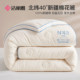 Jie Liya Xinjiang cotton quilt winter quilt pure cotton thickened warm pure cotton quilt single spring and autumn cotton quilt core