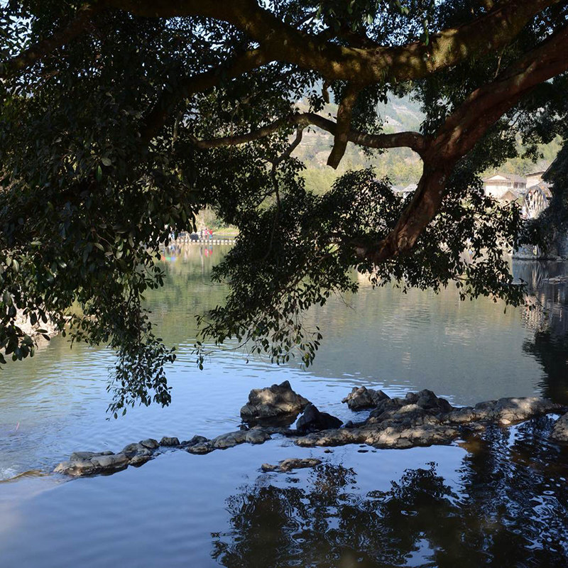 厦门旅游出发南靖云水谣头等舱豪华团1日跟团游 厦门出发土楼旅游