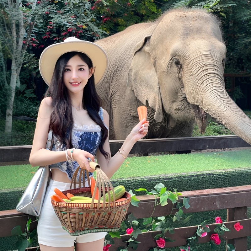 云南西双版纳旅游纯玩团5天4晚2-15人游野象谷森林公园中科植物园