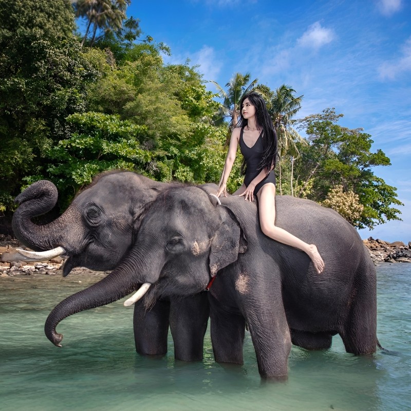 高铁往返昆明西双版纳旅游4天3晚跟团游野象谷原始森林公园亲子游