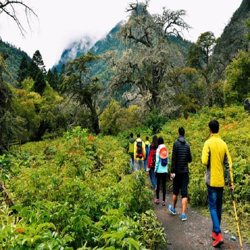 香格里拉雨崩徒步6天5晚纯玩游梅里雪山览神瀑观日照金山专业领队