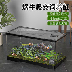 Snail breeding box, climbing pet gecko beetle breeding box