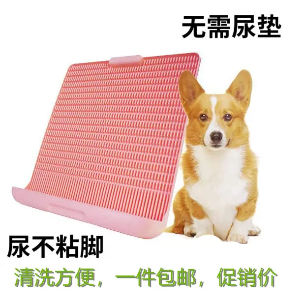 狗厕所用品中小型犬防踩屎抽屉平板式泰迪拉便盆