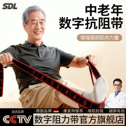 German Resistance Band for Muscle Building, Digital Resistance Band for Middle-Aged and Elderly People, Special Exercise for Gluteus Muscles and Leg Muscle Training Elastic Band