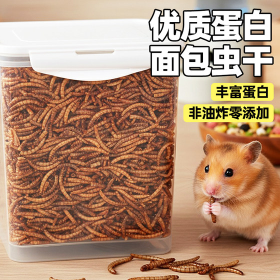 
Golden bear meal worm dry staple food flower rat golden bear pet ration worm dry snack feeding special feed