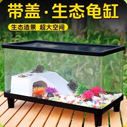 Turtle breeding tank with terrace luxury villa