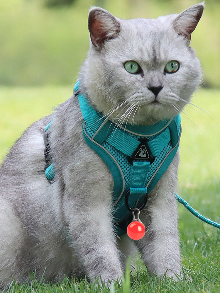 Spoiled Cat Traction Rope Vest - Silver Lace Chain